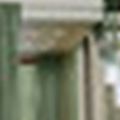 La naturel face&body studio