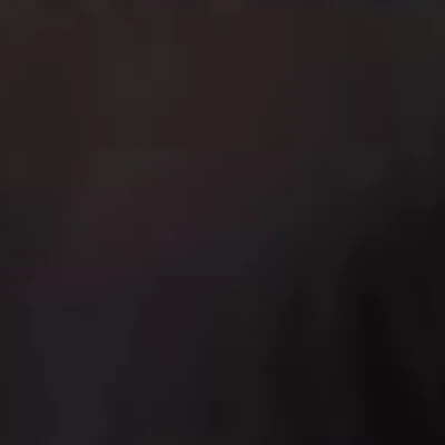 Дан