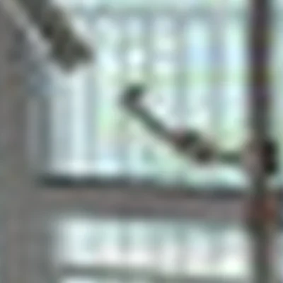 Анастасия Попова