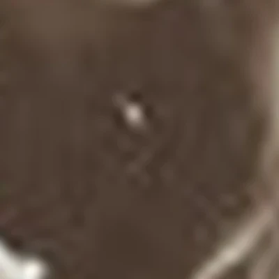 Stenly