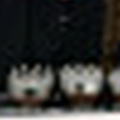 ИП Васильева О.И.