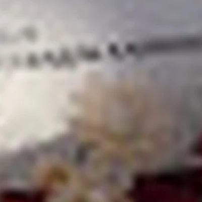 Студия ногтевой эстетики и стиля Александры Климовой