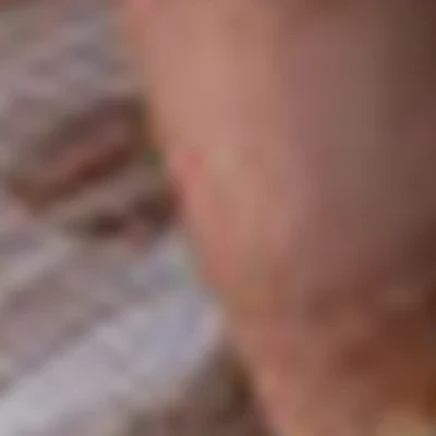 ЛАК’О