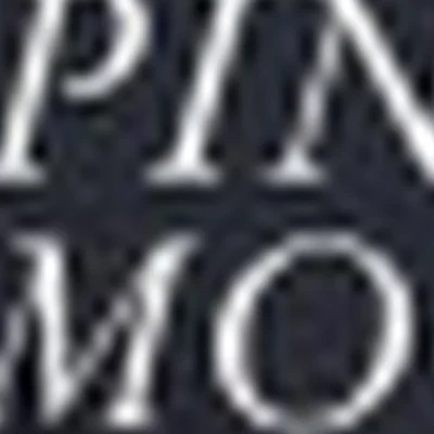 Pink Moon Beauty Studio