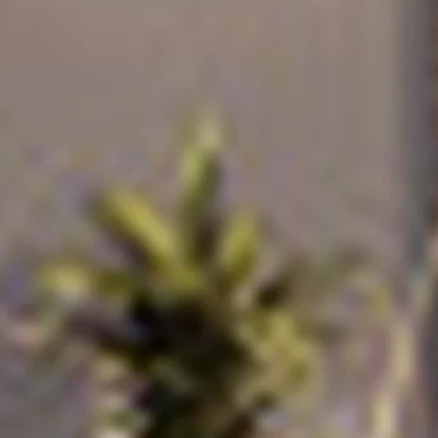 Особняк красоты «BEAUTY&SOUL»