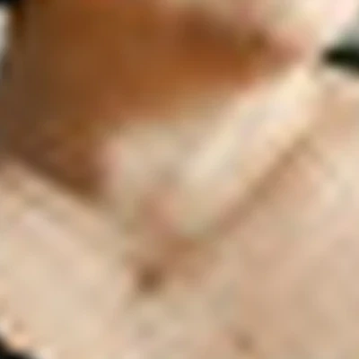 Юлия Гербер