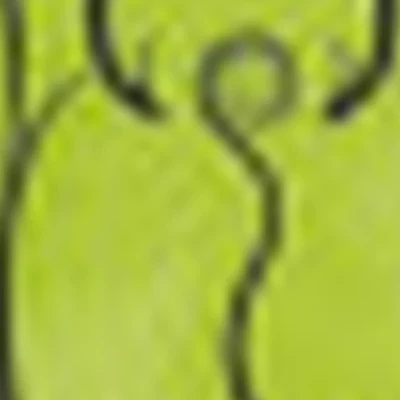 Доула в Томске