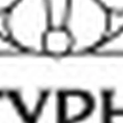 Фигурный Центр