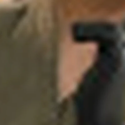 Диана Данилова