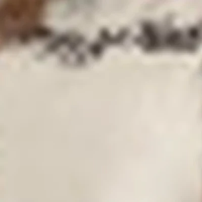 Полина Филиппова