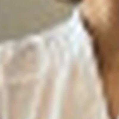 Косметолог Анна Резмерица