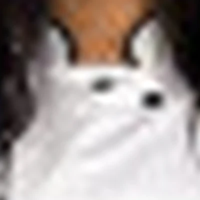 Ольга Косметолог Сургут