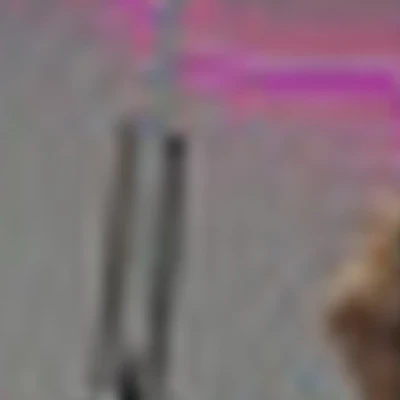 Олеся Моисеева