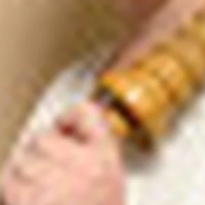 Устюгова Евгения