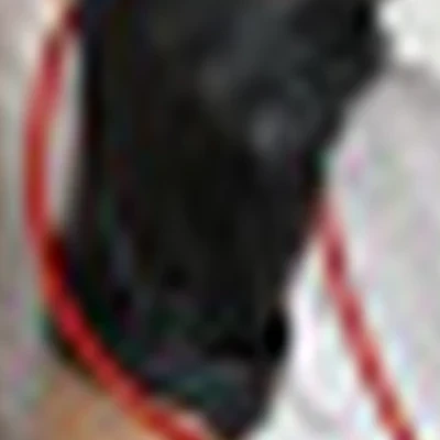 Наталья Бендовская