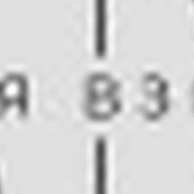 Студия Взгляда Fox