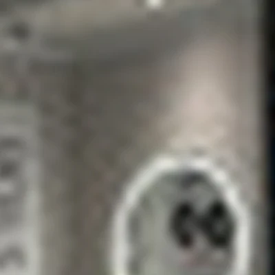 Студия ИРИНЫ КОХ