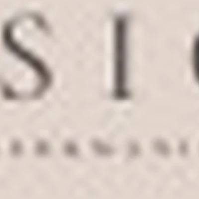 VISION