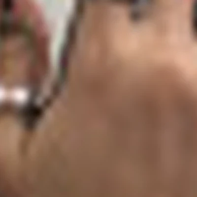 Алиса Кутузова