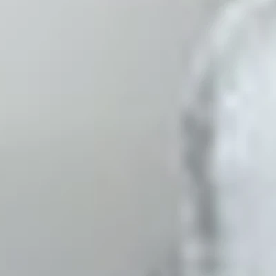 Фирдавс Самиров