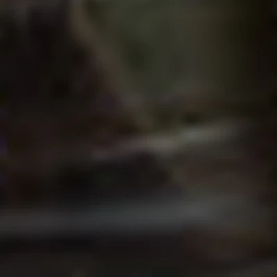 Студия Моделирования Взгляда IDOLE