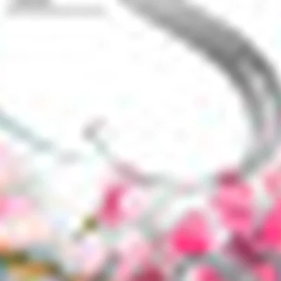 B.S._BEAUTY STUDIO