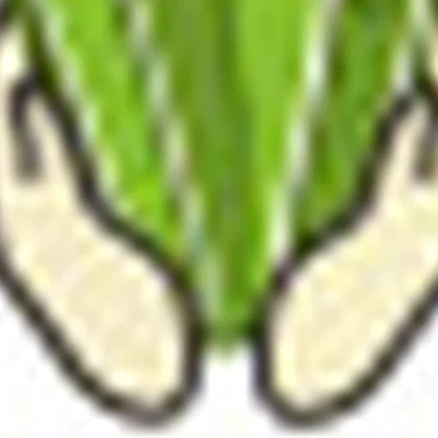 Студия @Kaktus_norilsk