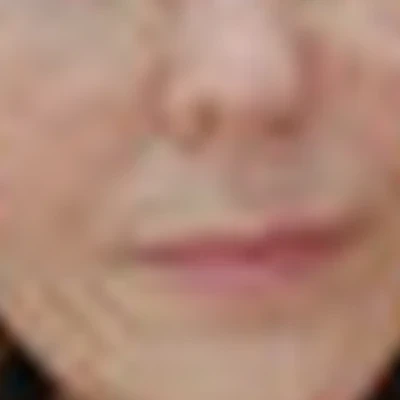 Елена Святенко