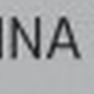 ELAGINA.LERA