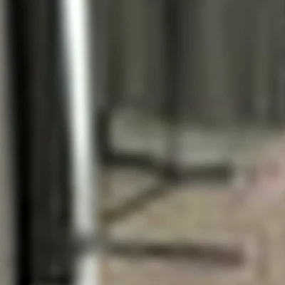 Аида
