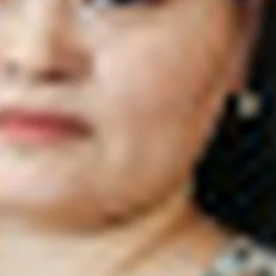 Лариса Пулодова