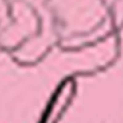 Владислава