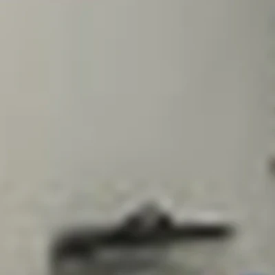 Степан Черданцев