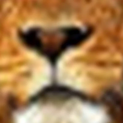 Спа салон «Регул»