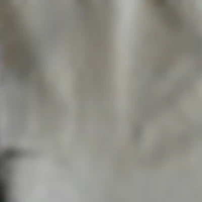 Самдан Дарья