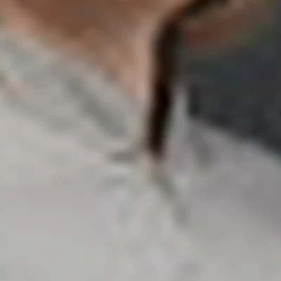 Студия косметического массажа