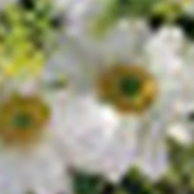 Парикмахерская