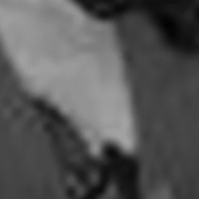 Яна Зубарева