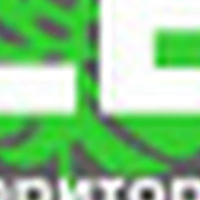 LB_studio Территория красоты