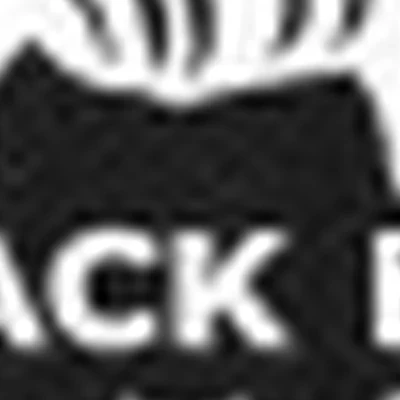 BLACK BRO