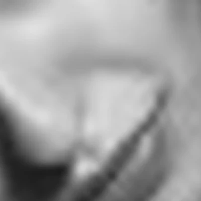 Гаркунова Александра