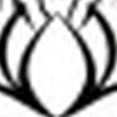 Estetic - студия массажа, коррекции фигуры и лазерной эпиляции