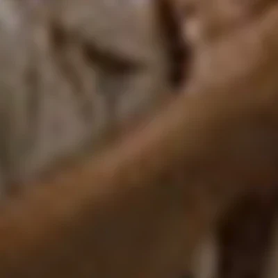 Егор Главатских