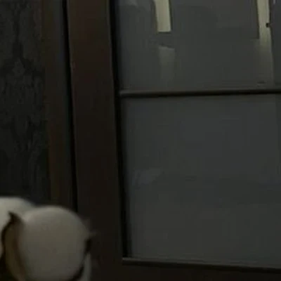 Амстердам в Калуге Калужская область, Калуга, Спартака, 6, 3 этаж