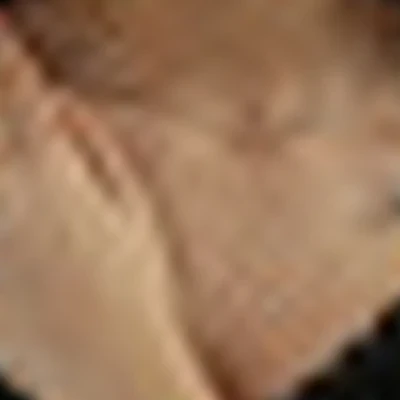 Рыбалкина Карина