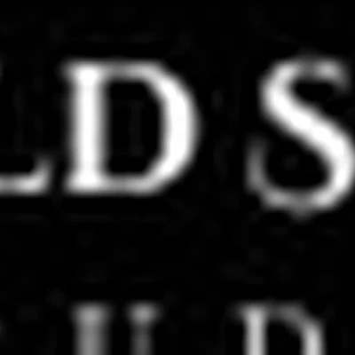 Gold Skin Studio