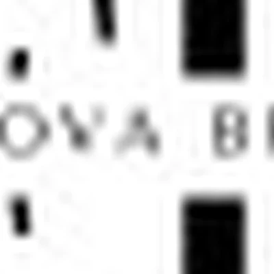 Frolova Brows