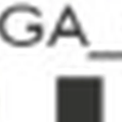 Shuga_che Студия Натальи Шестаковой