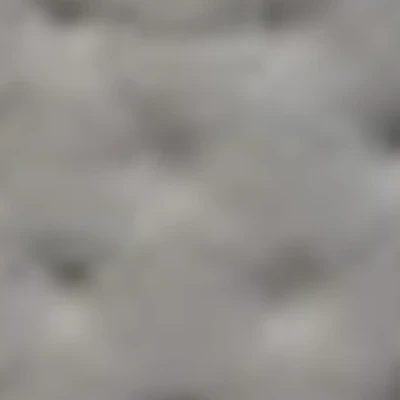 DANIOLLE Style Studio