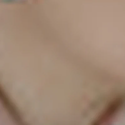 Васильева  Ирина